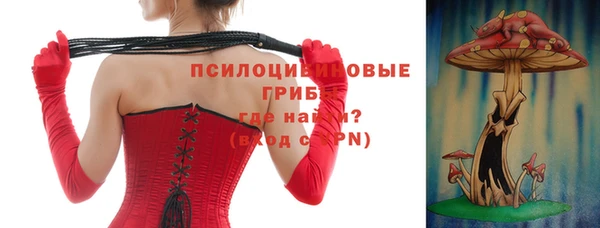 герыч Няндома