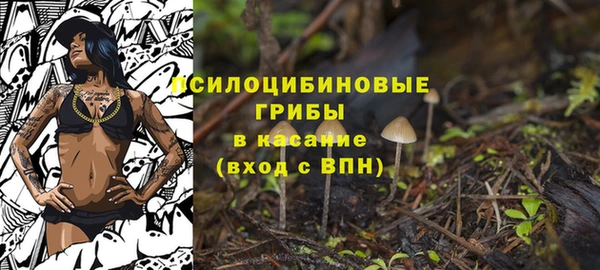 PSILOCYBIN Нягань