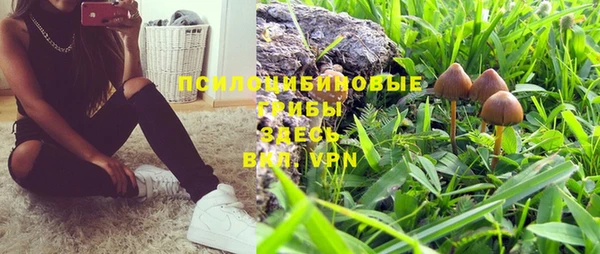 PSILOCYBIN Нягань