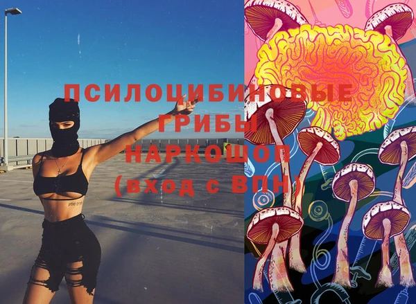 синтетический гашиш Новодвинск