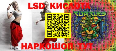шишки Аргун
