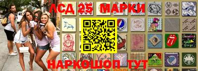 шишки Аргун