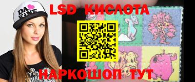 шишки Аргун